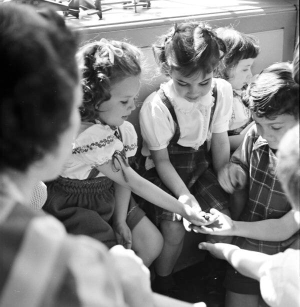 Vivência Educacional: Um relato de Maria Gorete Brick